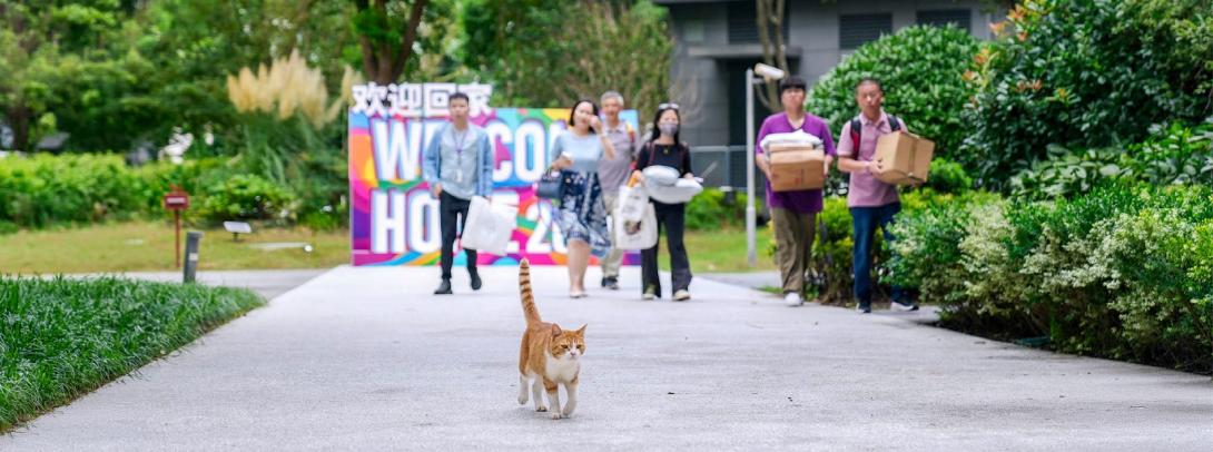 move in day with cat